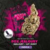 Bodega Boyz POX Jealousy
