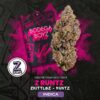 Bodega Boyz Z Runtz